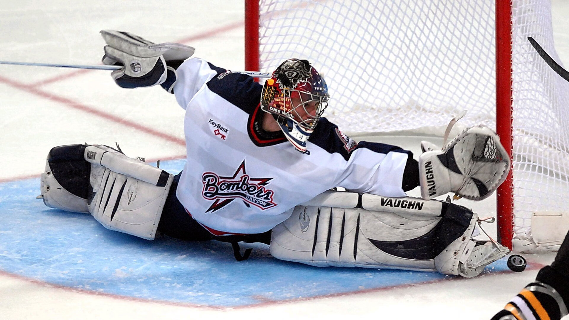 德约科维奇关键节点问鼎冠军，西班牙队带队取胜！